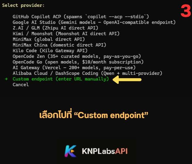 ขั้นตอนที่ 3: เลือก Custom endpoint เพื่อกรอกค่าเอง
